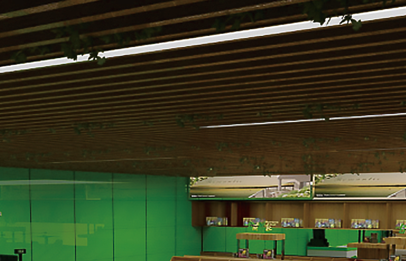 LG05bn LED BATTEN ACTIP