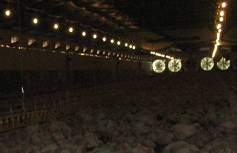 Luz tri-resistente LG08K LED